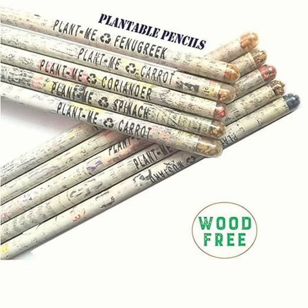 Phutri Crafts Eco Friendly Plantable Seed 2B Pack of 10 Pencils2 - LXINDIA.COM