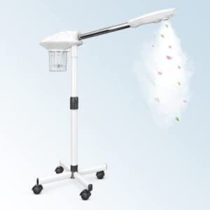 Professional Facial Steamer Ozone Therapy Face Steam Machine - LXINDIA.COM