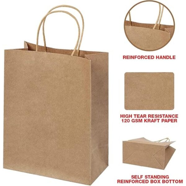 RanGit Bhumi Brown Paper Bags 9 12 4 25pcs 3 - LXINDIA.COM