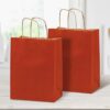 RanGit Bhumi Gift Bags Red Paper Bags for Return Gifts 10pcs 8 4 10 Inch - LXINDIA.COM