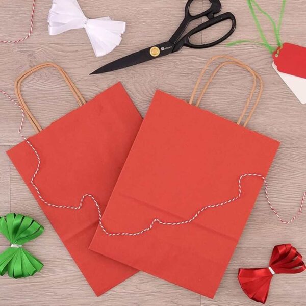 RanGit Bhumi Gift Bags Red Paper Bags for Return Gifts 10pcs 8 4 10 Inch 2 - LXINDIA.COM