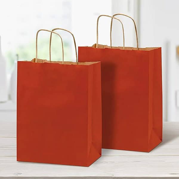 RanGit Bhumi Gift Bags Red Paper Bags for Return Gifts 10pcs 8 4 10 Inch 3 - LXINDIA.COM