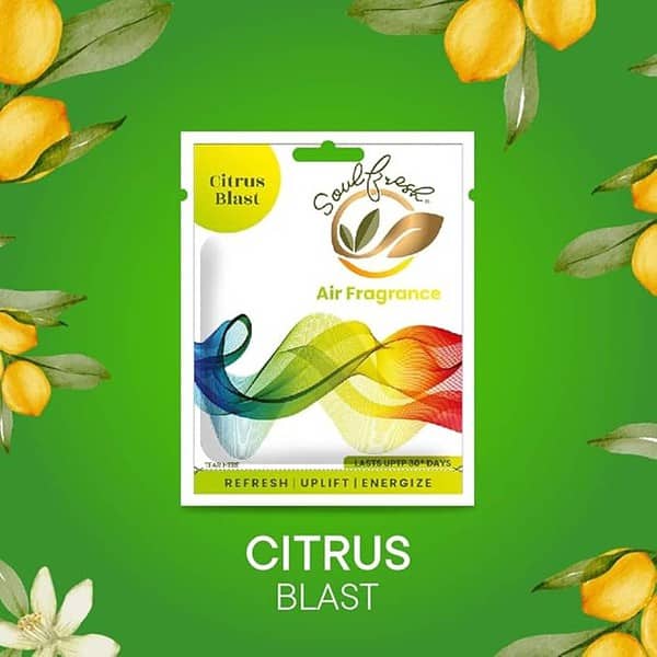 SOULFRESH Air Pocket Citrus Blast Air Freshener Pack of 3 3 - LXINDIA.COM