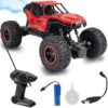 Wembley Remote Control Monster Truck RC Car - LXINDIA.COM