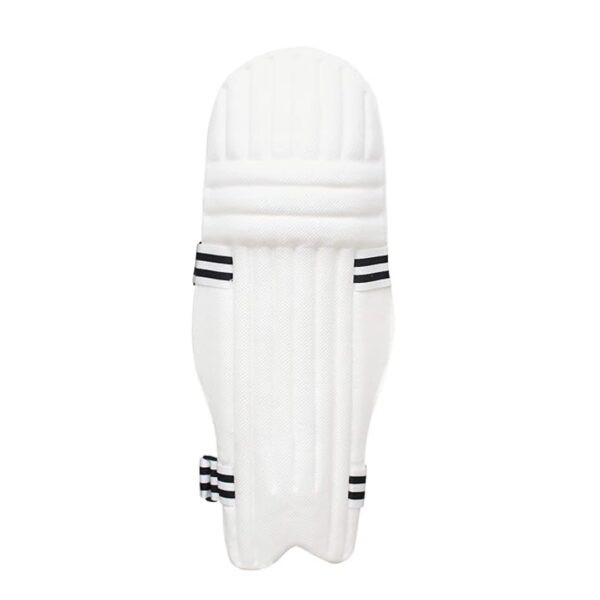 Whitedot Ultralite Moulded Cricket Batting Pad with Eleanor Cricket Batting Gloves Combo Large Left Hand 2 - LXINDIA.COM