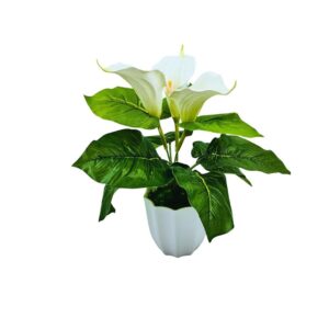 fancymart Artificial Calla Lily Flower with Plastic Pot - LXINDIA.COM