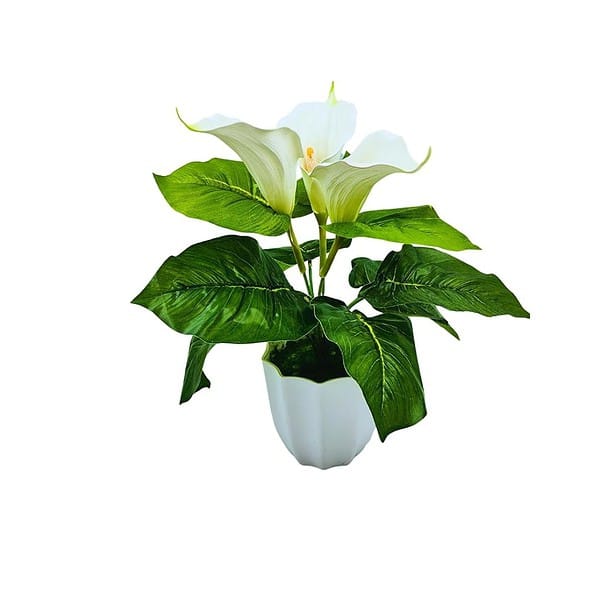 fancymart Artificial Calla Lily Flower with Plastic Pot - LXINDIA.COM