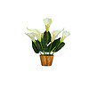 fancymart Artificial Flower Calla Lilly with Wood Pot - LXINDIA.COM