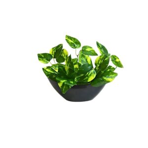 fancymart Artificial Money Plant Leaves with Boat Pot - LXINDIA.COM