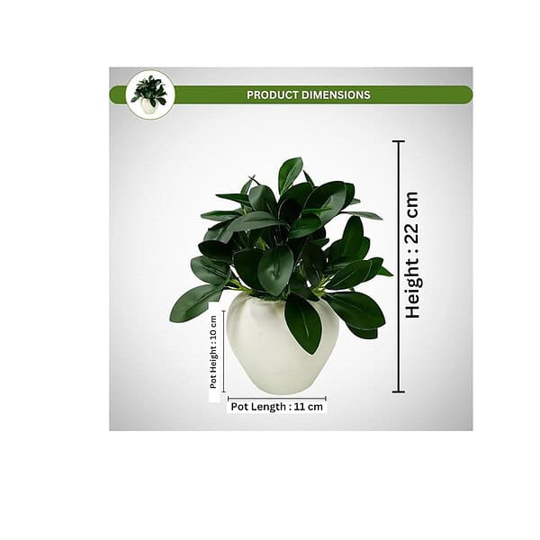 fancymart Artificial Rubber Plant in 4 inch White Apple Pot A - LXINDIA.COM