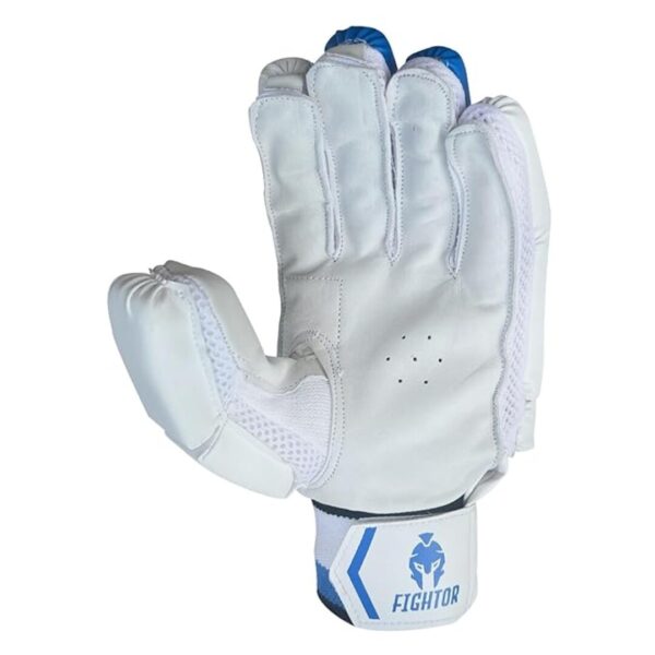 fightor Cricket Batting Gloves Right Hand Premium Sheep Leather Palm SIZE BOY 3 - LXINDIA.COM