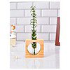 Ancient Shoppee Wooden 1 Glass Test Tube Flower Vase 3 - LXINDIA.COM