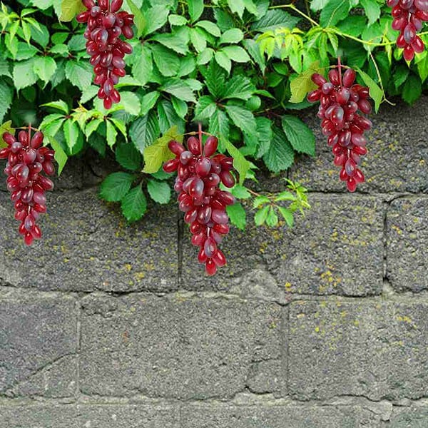 Crystu Hanging Artificial Brown Grapes with Leaves - LXINDIA.COM