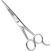 DANIAL High Carbon 6.5 Inch Hair Cutting Scissor - LXINDIA.COM