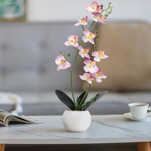 Decor And More Artificial Orchid Flowers with White Ceramic Pot Pastel Pink - LXINDIA.COM