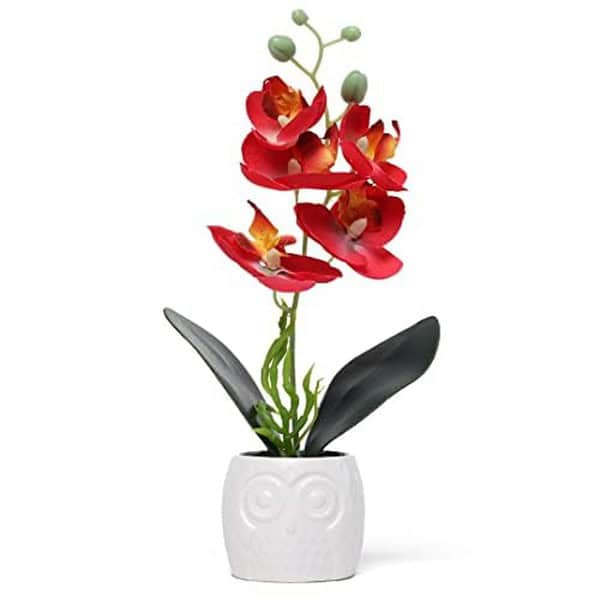 Decor And More Artificial Orchid Flowers with White Ceramic Pot Red - LXINDIA.COM