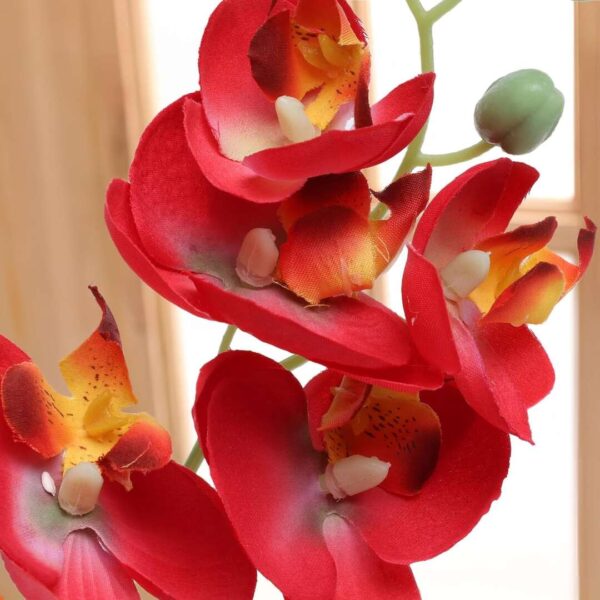 Decor And More Artificial Orchid Flowers with White Ceramic Pot Red B - LXINDIA.COM