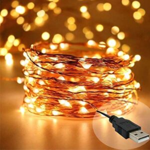 Desidiya Copper Fairy String Lights with USB Cable for Home Decoration 5 MetersLED - LXINDIA.COM