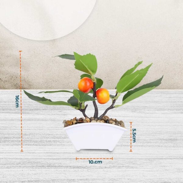 Ekhasa Orange Fruit Plant Pot a - LXINDIA.COM