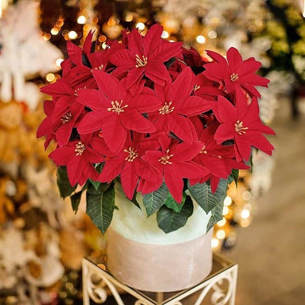 Forty Wings 5 Red Christmas Poinsettia Flowers A - LXINDIA.COM