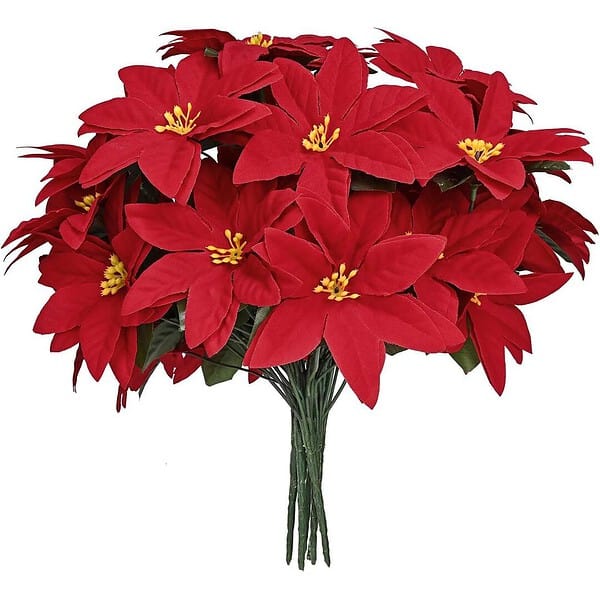 Forty Wings 5 Red Christmas Poinsettia Flowers B - LXINDIA.COM