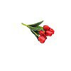 Fourwalls Beautiful Artificial Polyester and Plastic Tulip Flower Red - LXINDIA.COM