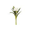 Fourwalls Beautiful Artificial Polyester and Plastic Tulip FlowerWhite - LXINDIA.COM