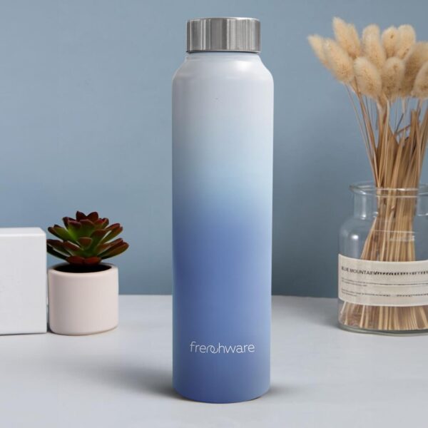 Frenchware Ocean Blue Water Bottle 1 Litre Stainless Steel b - LXINDIA.COM