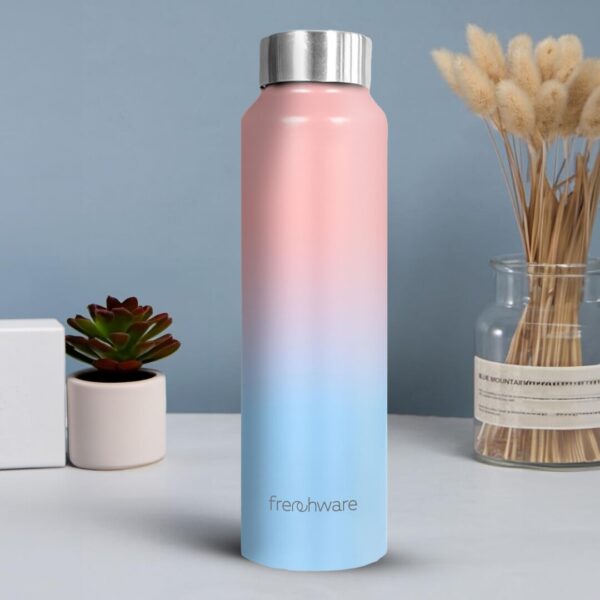 Frenchware Sky Blush Water Bottle 1 Litre Stainless Steel - LXINDIA.COM