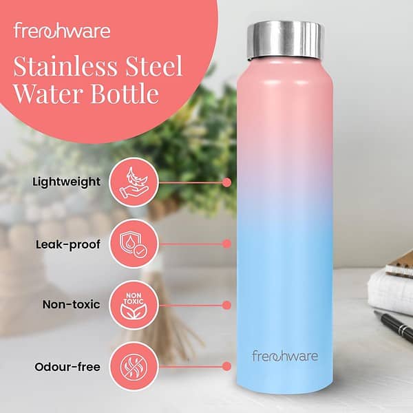 Frenchware Sky Blush Water Bottle 1 Litre Stainless Steel F - LXINDIA.COM