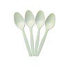 G1 6inch Corn Starch Disposable Biodegradable Spoon 100 Pcs - LXINDIA.COM