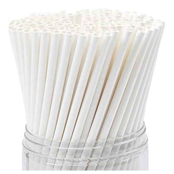 G1 Bio degradable Disposable Hard Paper Straw White - LXINDIA.COM