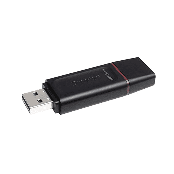 Kingston DataTraveler Exodia DTX 256 GB USB Gen 1 Pen Drive2 - LXINDIA.COM