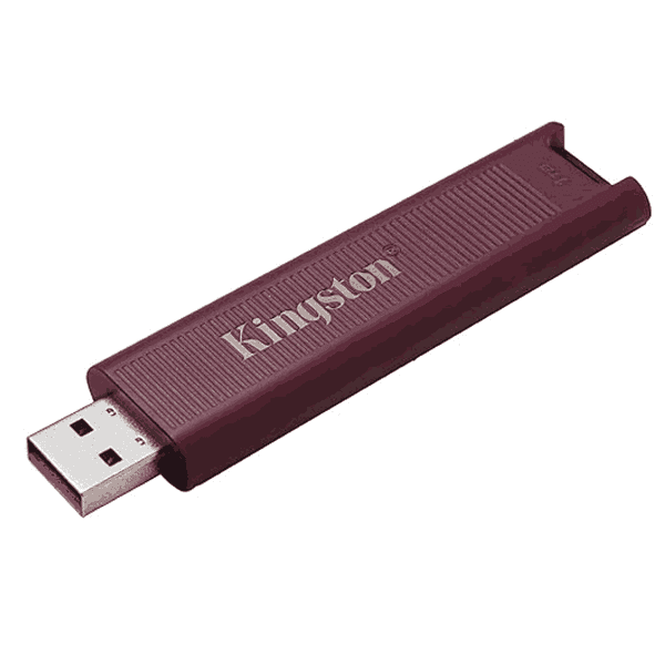 Kingston DataTraveler Max Type A 1TB High Performance USB Flash Drive USB - LXINDIA.COM