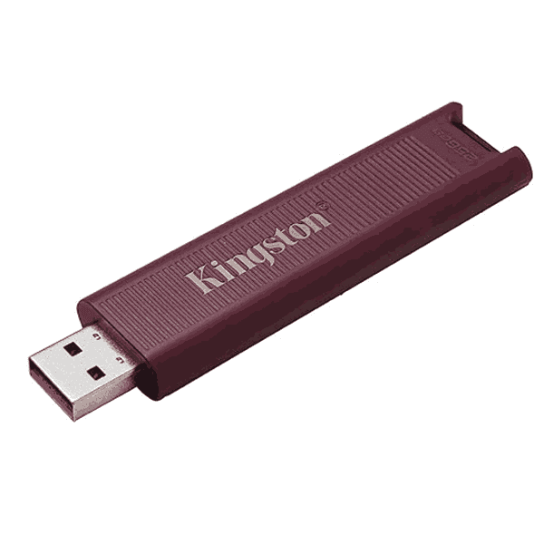 Kingston DataTraveler Max Type A 256GB High Performance USB Flash Drive 1 - LXINDIA.COM