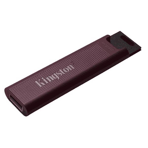 Kingston DataTraveler Max Type A 256GB High Performance USB Flash Drive - LXINDIA.COM