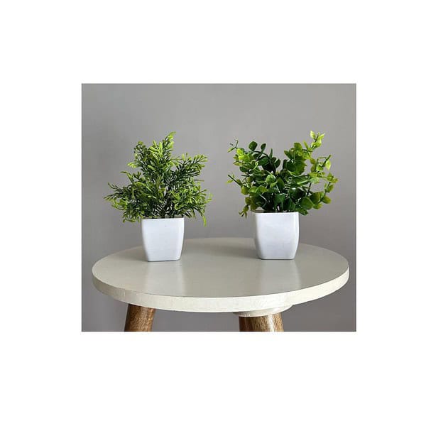 Litleo Artificial Plants Mini Fake Potted Plants 2 - LXINDIA.COM