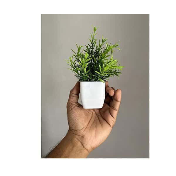 Litleo Artificial Plants Mini Fake Potted Plants Set of 4 7 - LXINDIA.COM