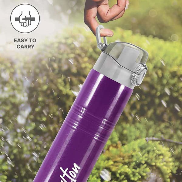 MILTON Vogue 1000 Stainless Steel 750 ml Water Bottle Purple - LXINDIA.COM