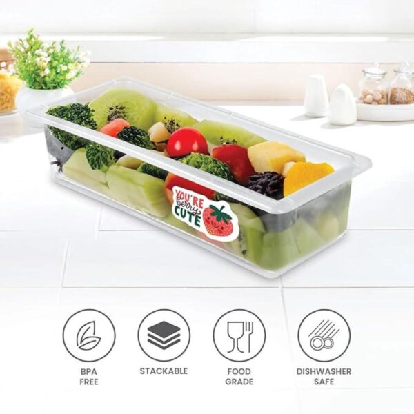 Milton Cryo Fridge Storage Fridge Organizer Container Set of 6 2 - LXINDIA.COM