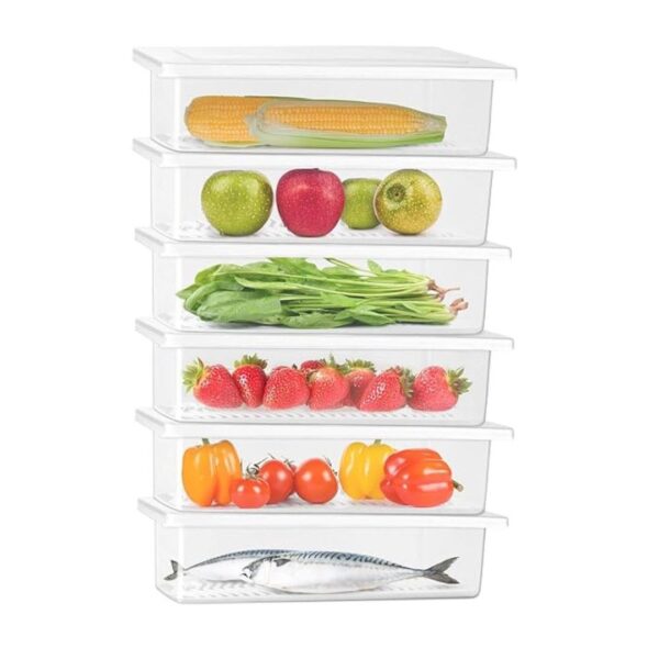 Milton Cryo Fridge Storage Fridge Organizer Container Set of 6 - LXINDIA.COM