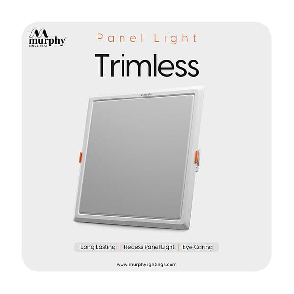 Murphy 15W Trimless 3 in 1 Square LED Panel Ceiling Color Changing Light Cool White Warm White Natural White Pack of 4 - LXINDIA.COM