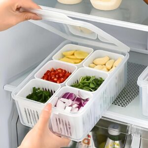 Polypropylene Havencia 6 Grid Fridge And Freezer Storage Boxes - LXINDIA.COM