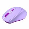 Portronics Toad 31 Wireless Mouse Purple - LXINDIA.COM