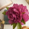 Pure Home Living Pink Artificial Peony with Glass Vase Plastic - LXINDIA.COM