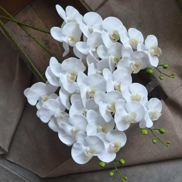 TIED RIBBONS Polyester Set Of 3 Decorative Artificial Orchid Flowers White a - LXINDIA.COM