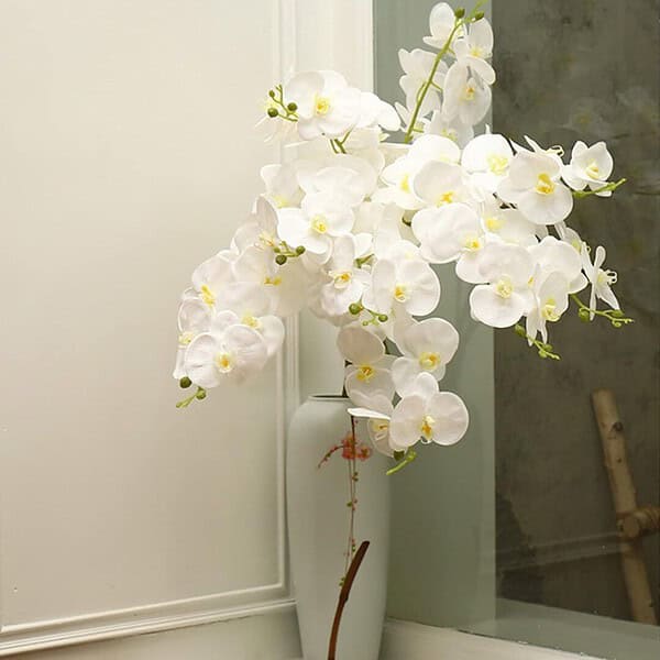 TIED RIBBONS Polyester Set Of 3 Decorative Artificial Orchid Flowers White b - LXINDIA.COM