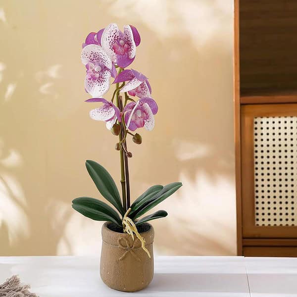 The Better Home Artificial Plants for Home Decor - LXINDIA.COM