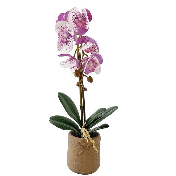 The Better Home Artificial Plants for Home Decor A - LXINDIA.COM