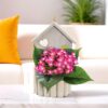 UMAI Artificial Plants for Home Decor with Pot Magenta Hut - LXINDIA.COM